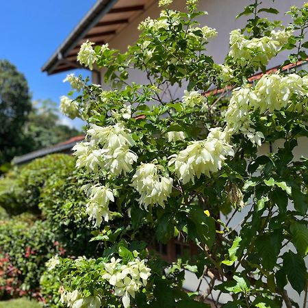 Garden Haven Hikkaduwa Villa Kültér fotó